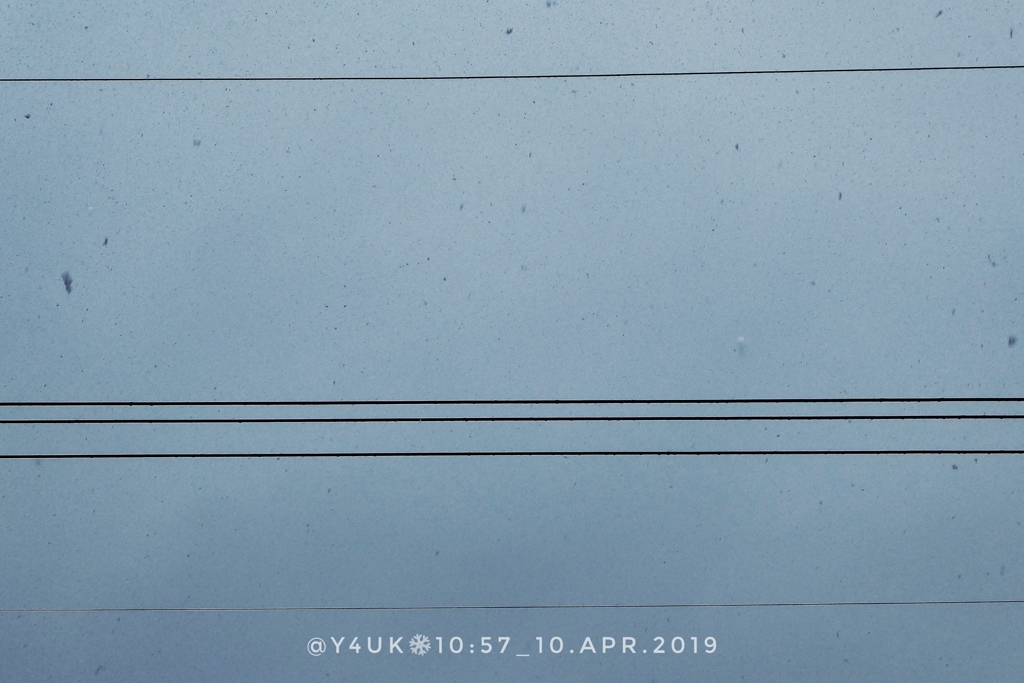 10:57_4月の雪〜電線と白い空から天使たち(73mm/フラッシュ:TZ85)
