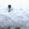 雪に埋もれても 〜ヌシカンisモヤさま