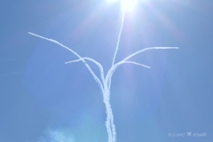 13:55神々しい大空の花〜太陽の光を浴びて今、拡がる希望〜ブルーインパルス