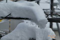 10:40 電線上の積雪がこちらを向いている〜大雪の翌朝snow〜449mm