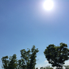 夏の青空に容赦ない太陽ヘトヘト到着〜この青空のために