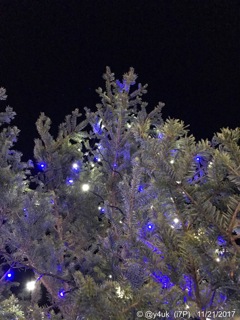 Night Xmas Tree 〜寒い夜空へBlue & White輝くツリー
