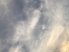 9.9初秋の夕空〜トンボ付き！〜sunset cloud autumn sky