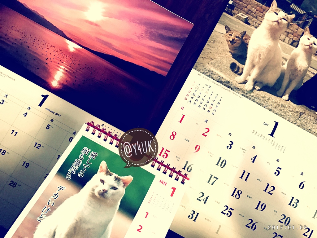 2017年カレンダーは狭い部屋に3つ！