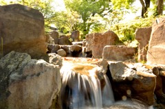 家の近くの公園で。