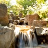 家の近くの公園で。