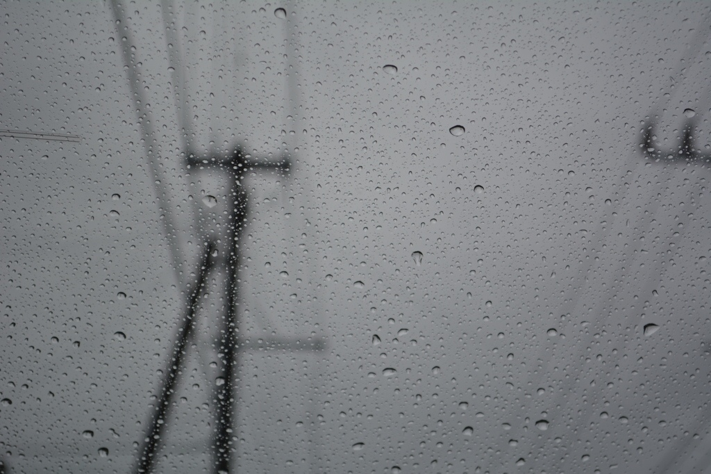 雨。