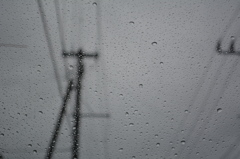 雨。