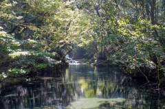 菊池渓谷1