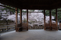 日本、、、良きかな