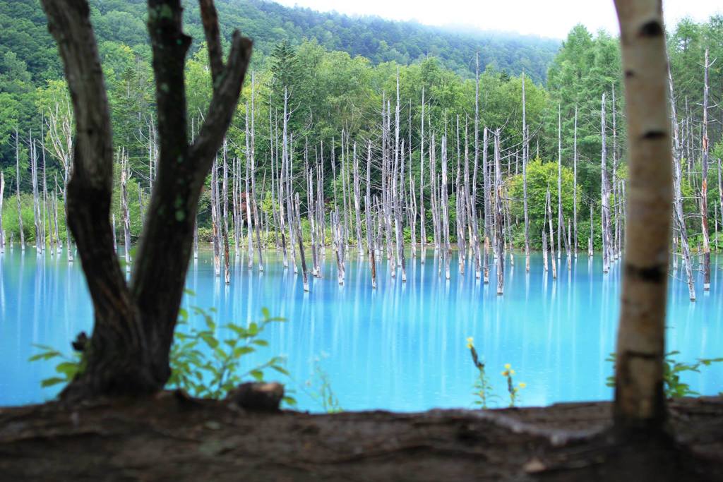 神秘な池