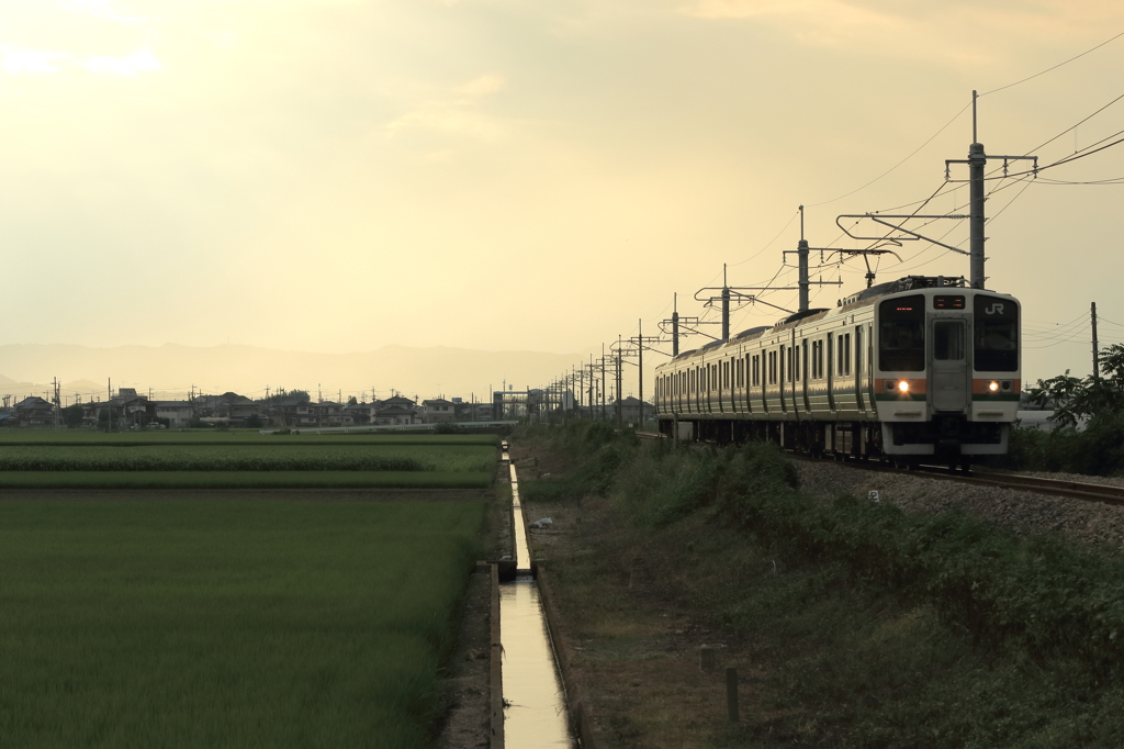Golden Time