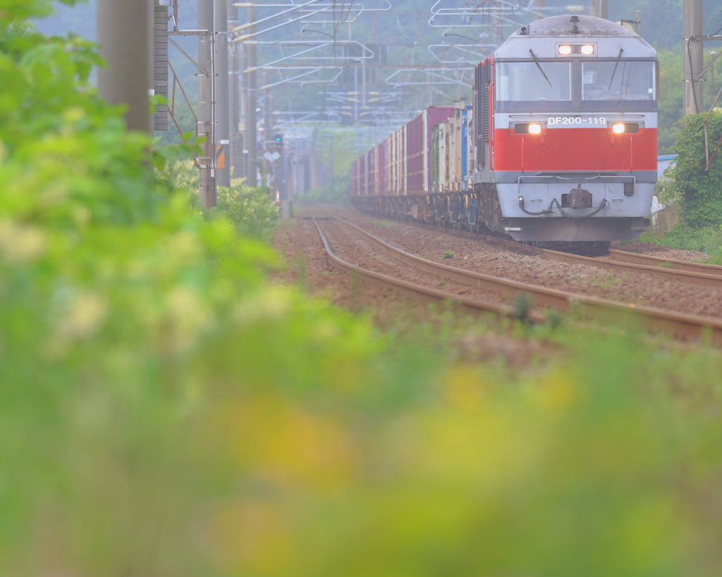 室蘭本線の日常