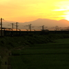 夕日