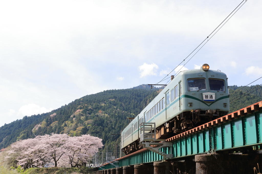 春の架け橋