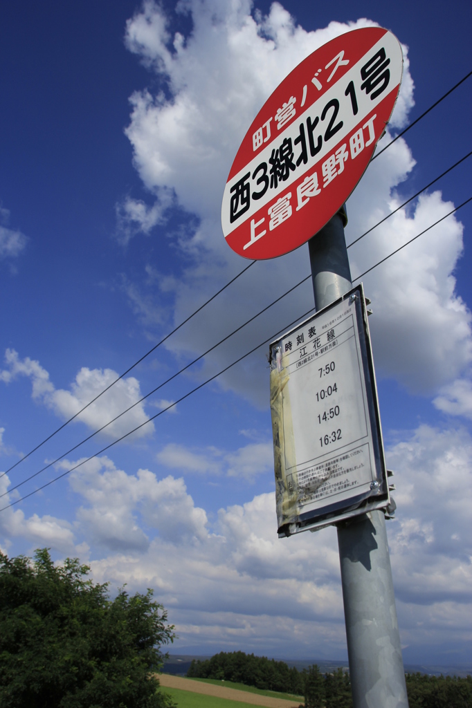 ぼくの夏休み