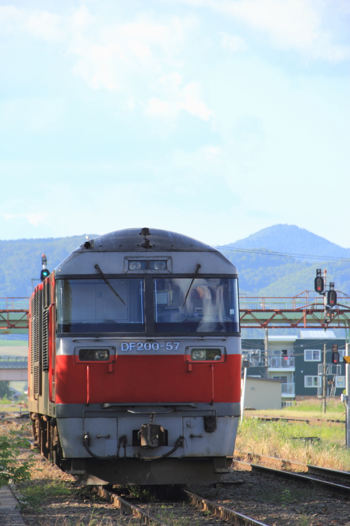 昼下がりの駅構内に佇むレッドベアー