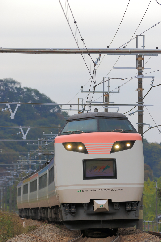 出たな！フリーザ！！