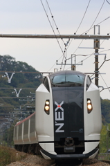 N'EX 1