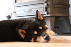 薪ストーブ、あったかいんだから