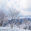 春の雪山②