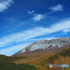 大山紅葉景①
