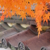 京都紅葉～紅葉と瓦～