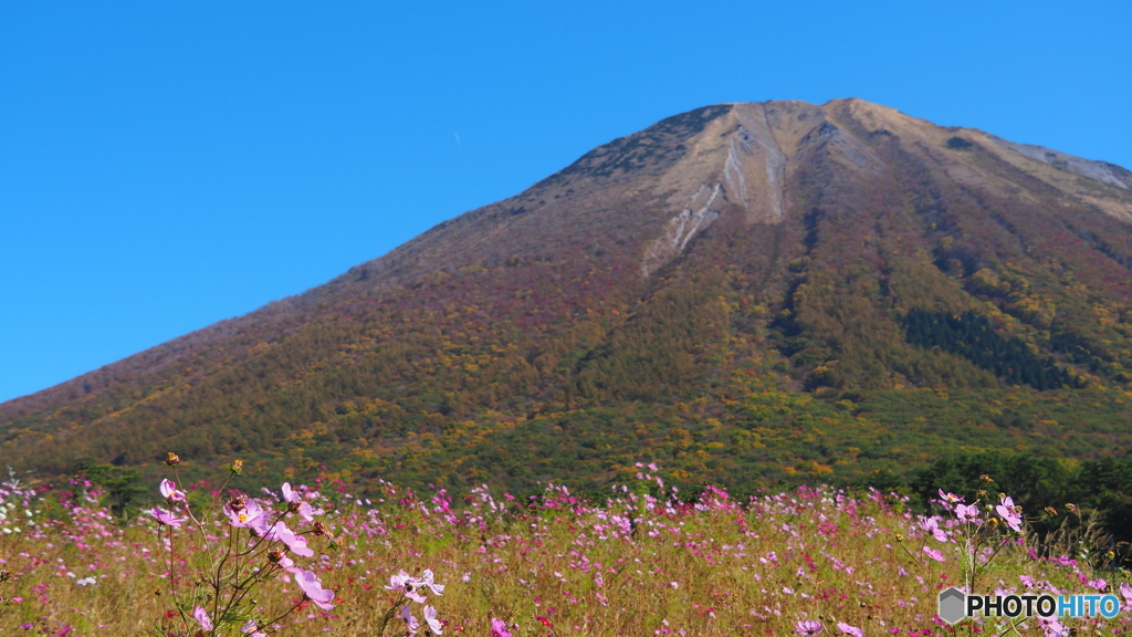 大山紅葉景⑥
