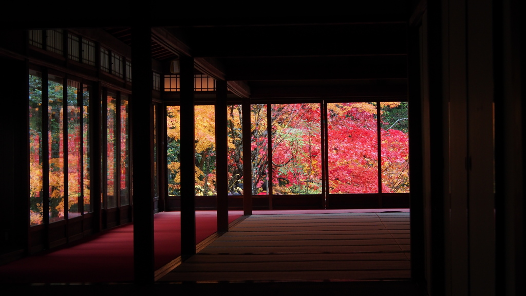 京都紅葉～額縁～