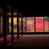 京都紅葉～額縁～