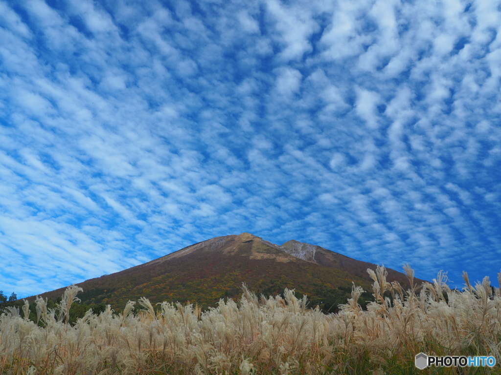 大山紅葉景⑦