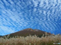 大山紅葉景⑦