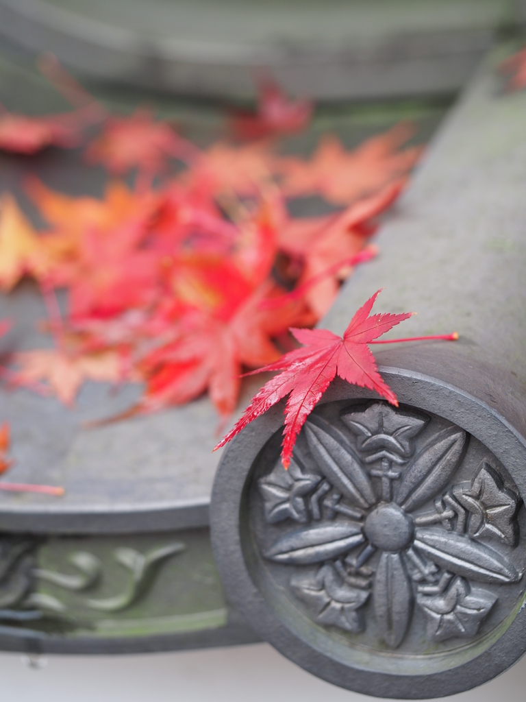 京都紅葉～和～