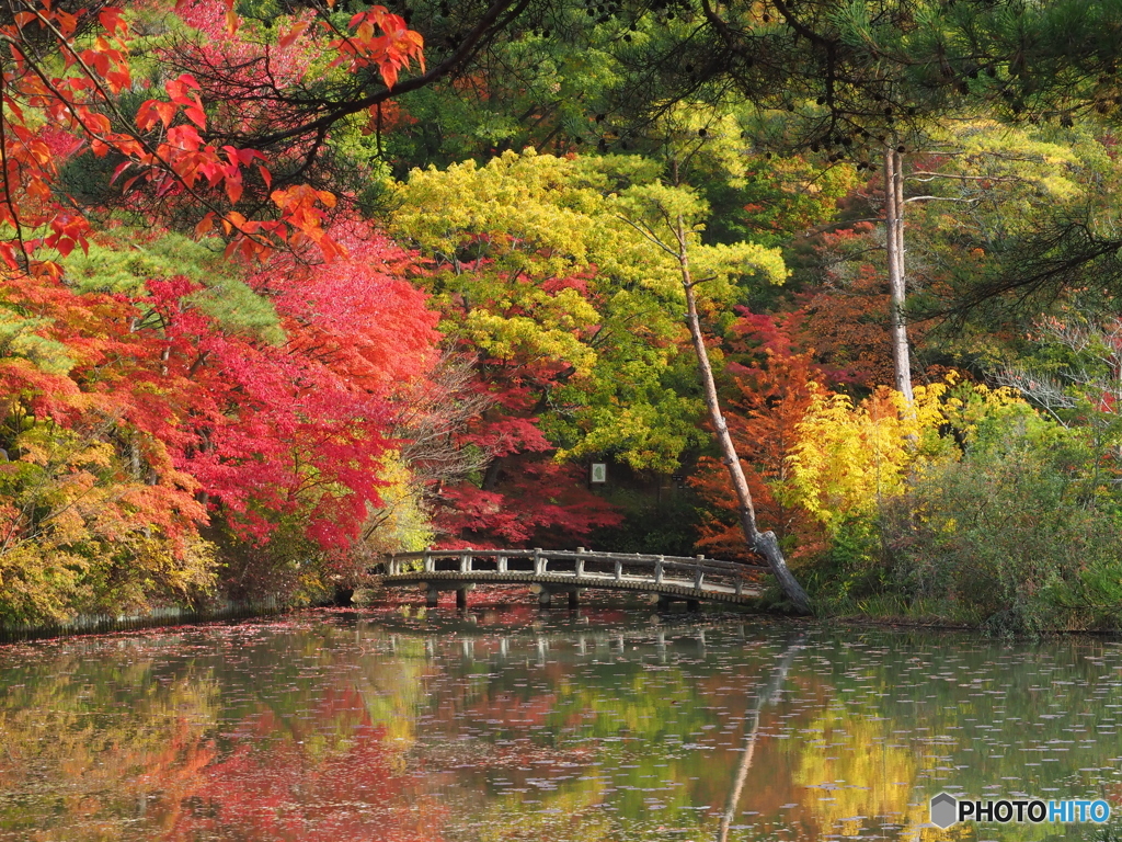 映る紅葉