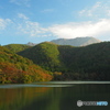 大山紅葉景⑧