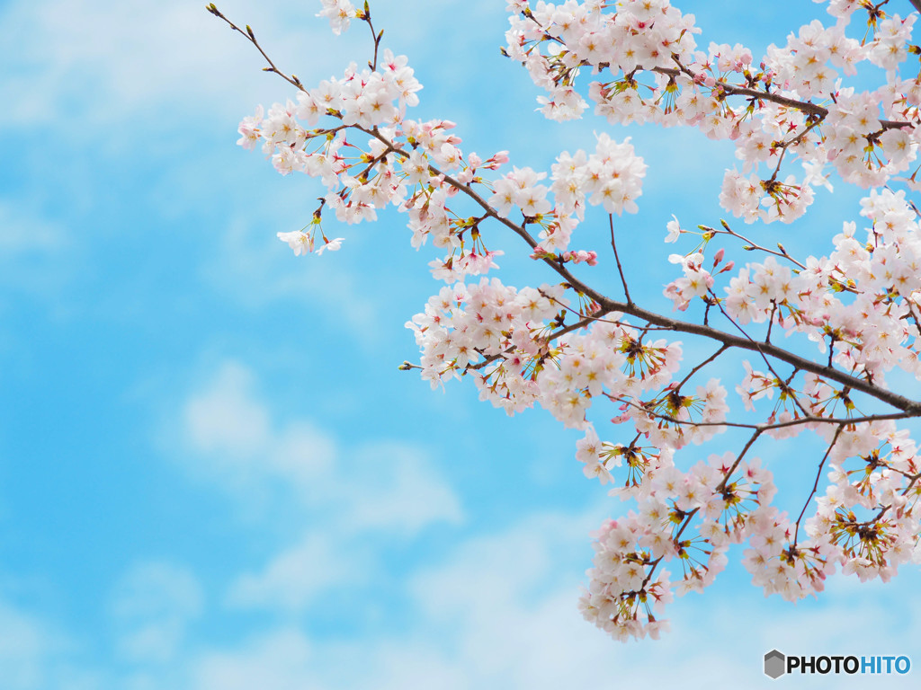 つかの間の青空