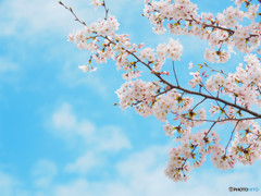 つかの間の青空