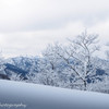 春の雪山①