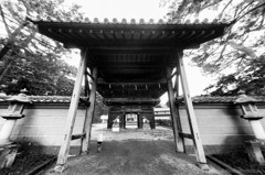 モノクロ練習　その１