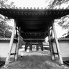 モノクロ練習　その１