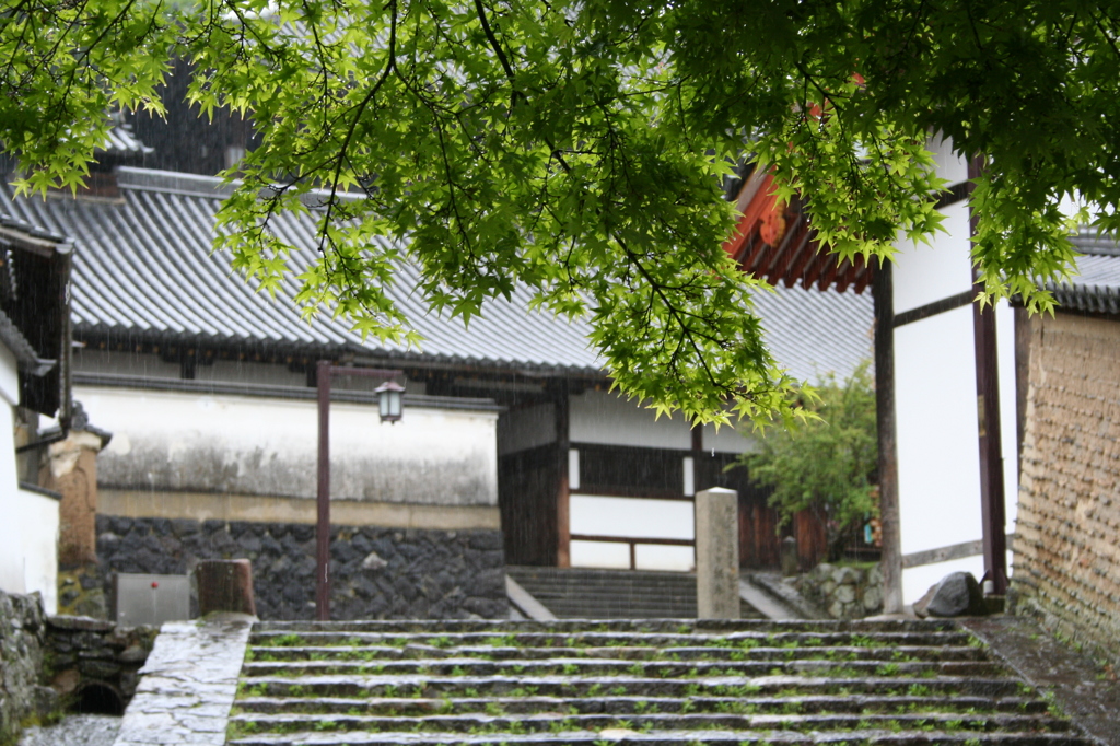 雨降るなか
