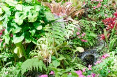 植物の勢い
