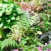 植物の勢い