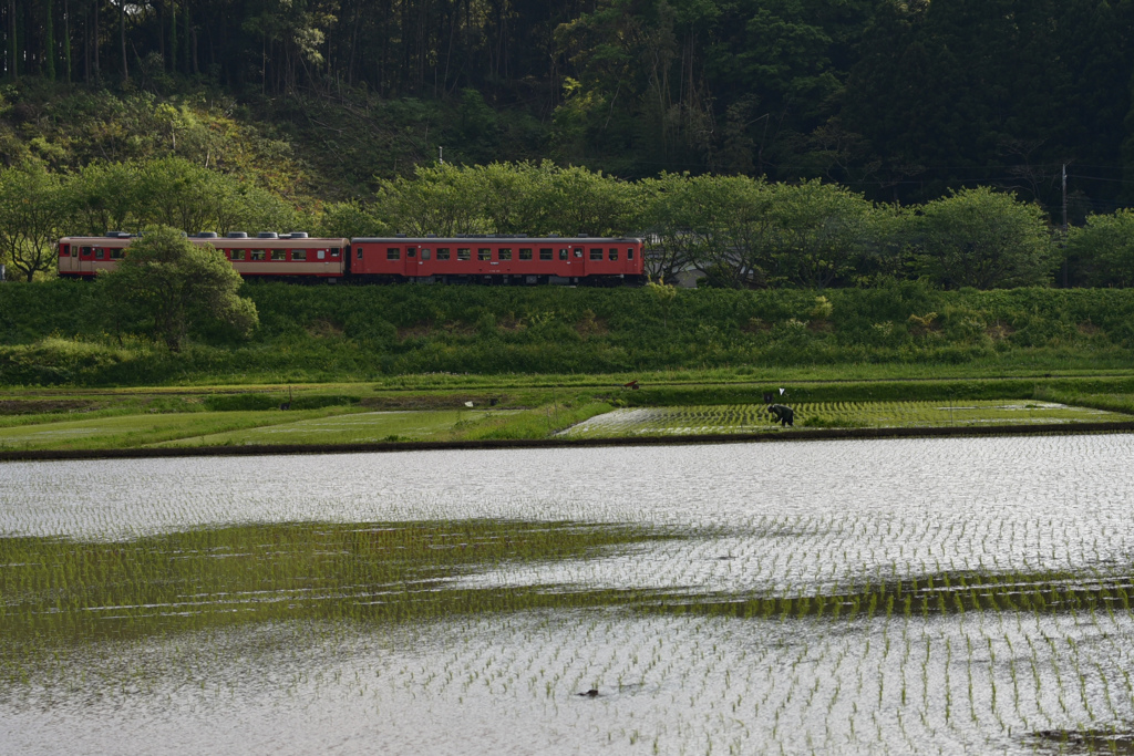 いすみ鉄道