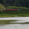 いすみ鉄道