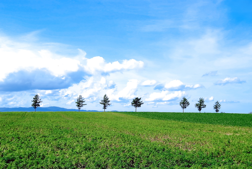 北海道