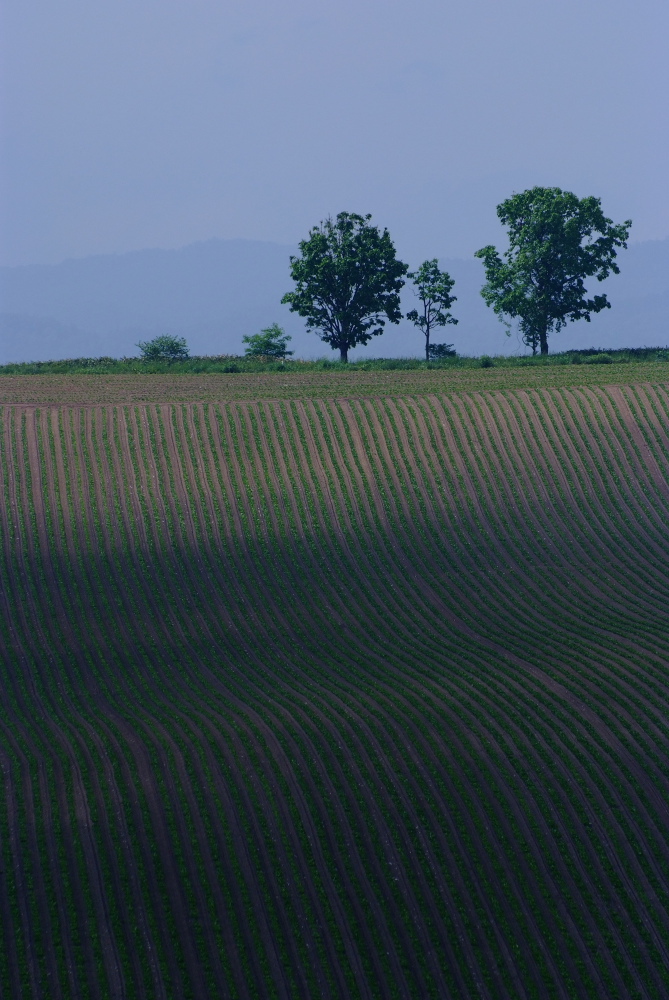 DSCF0416_