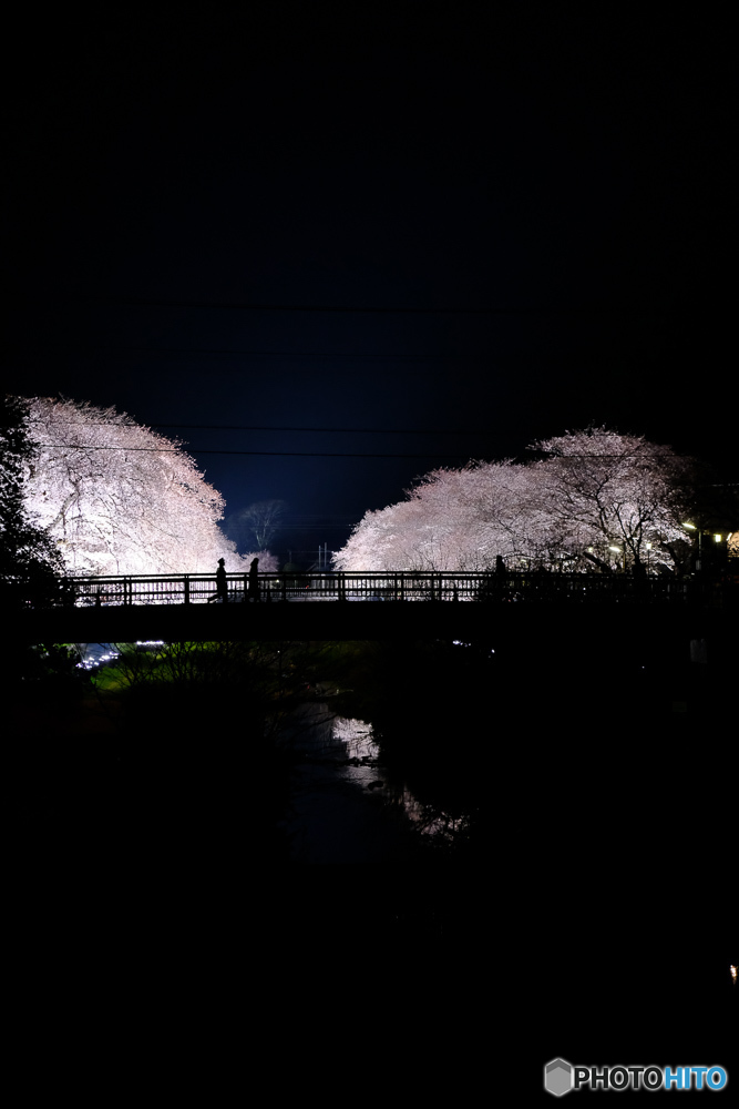 a night dream