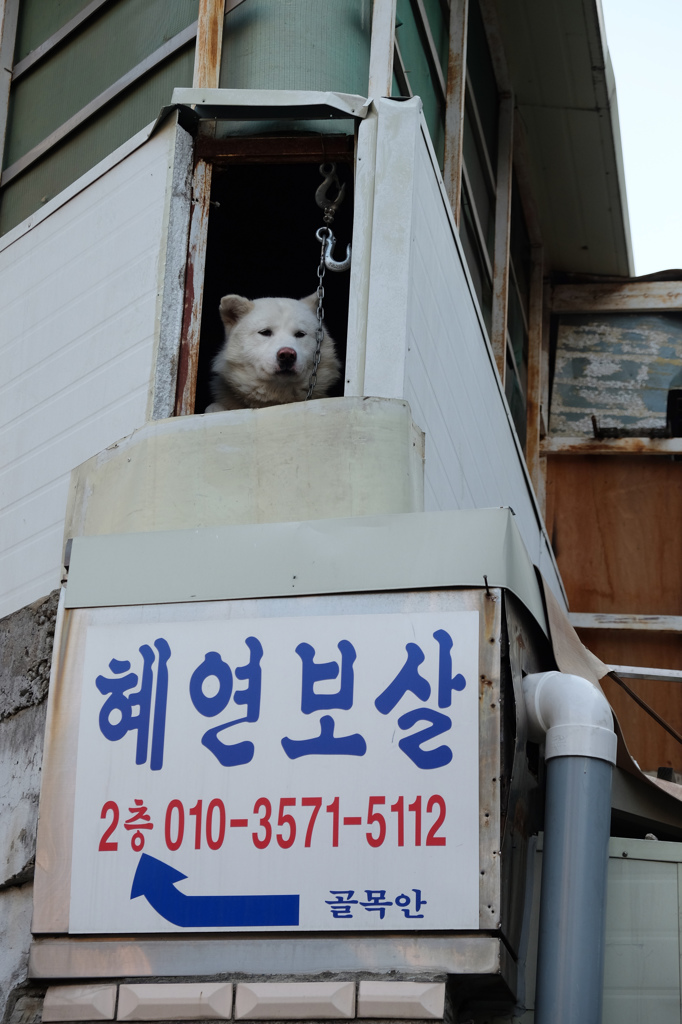 見上げると