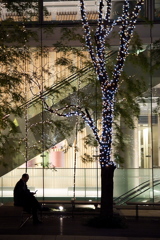 イルミネーション